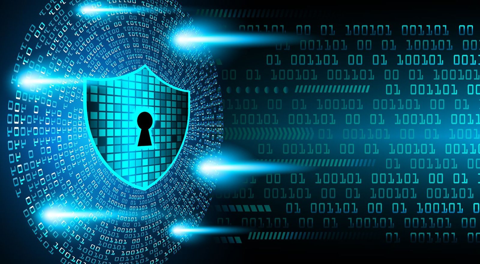 Online Cyber Security Course