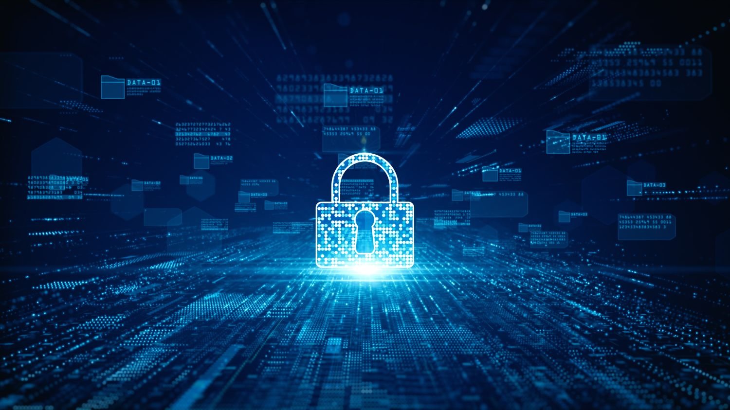 Network Security Assessment